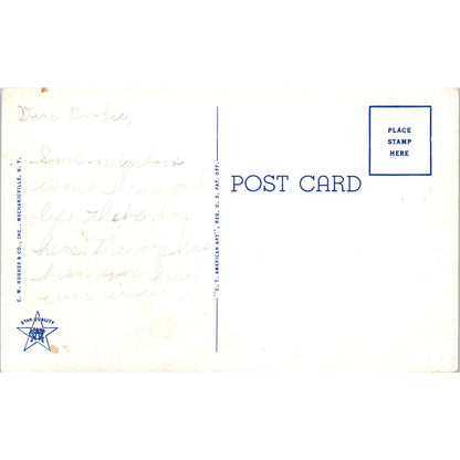 Otsego Lake from Source of Susquehanna River Cooperstown NY Postcard PC7