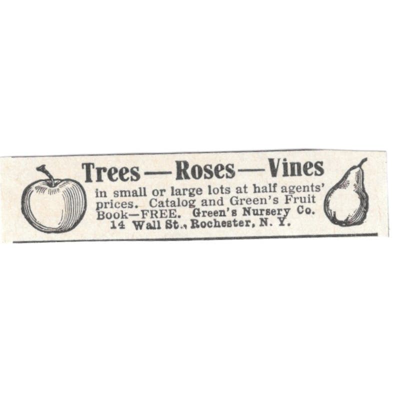 Trees, Roses, Vines Green's Nursery Co Rochester NY 1918 Magazine Ad AF1-SS3