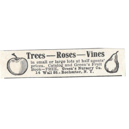 Trees, Roses, Vines Green's Nursery Co Rochester NY 1918 Magazine Ad AF1-SS3
