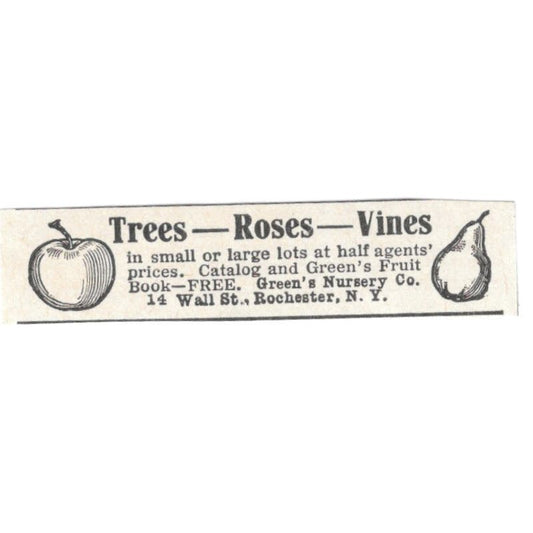 Trees, Roses, Vines Green's Nursery Co Rochester NY 1918 Magazine Ad AF1-SS3