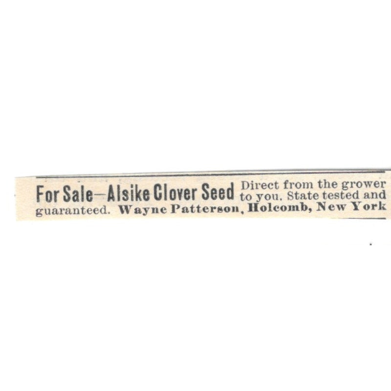 Wayne Patterson Alsike Clover Seed Holcomb NY 1924 Ad AG3-S7