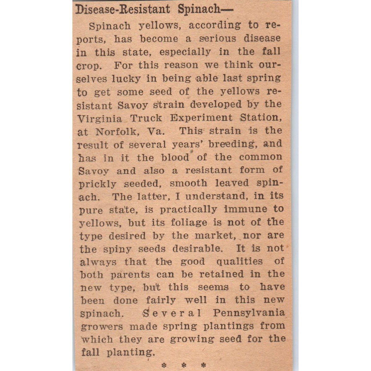 Disease Resistant Spinach Article 1922 Magazine Ad AF2-A5