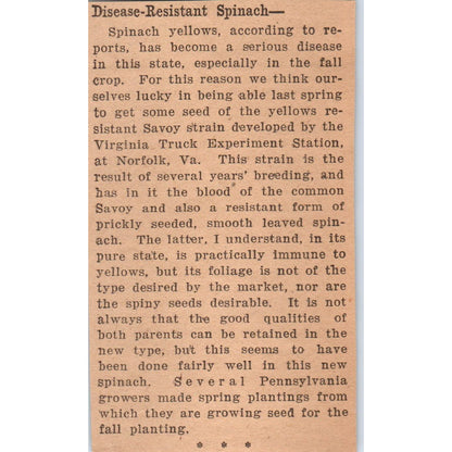 Disease Resistant Spinach Article 1922 Magazine Ad AF2-A5