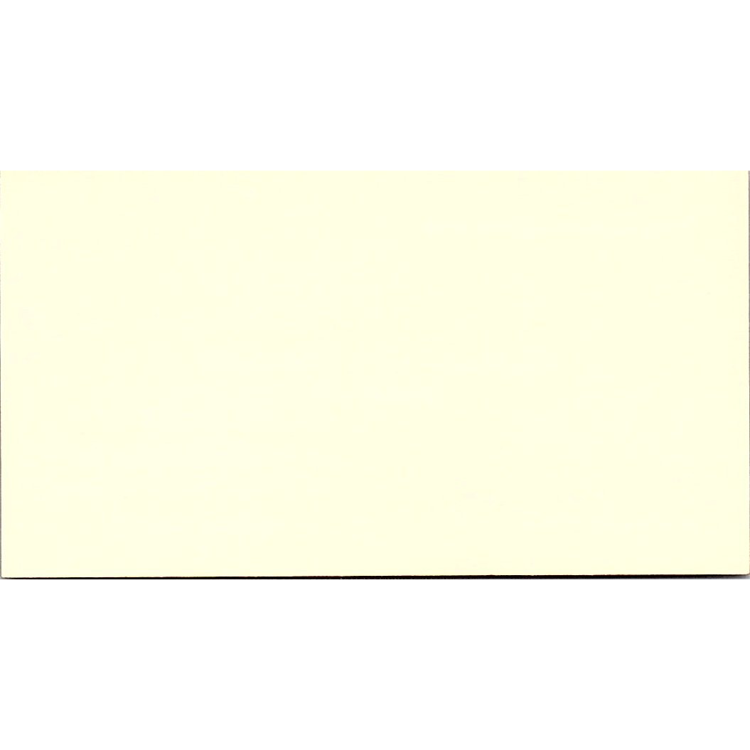 Nolan R Williamson Western Fire Inc Houston TX Vintage Business Card SD9-B3