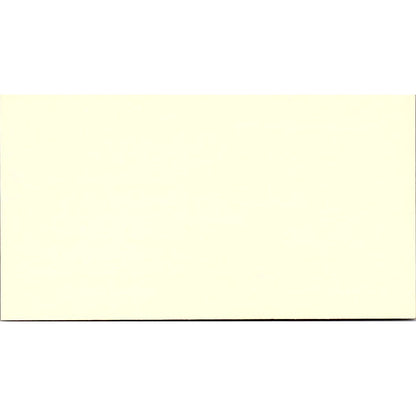 Nolan R Williamson Western Fire Inc Houston TX Vintage Business Card SD9-B3