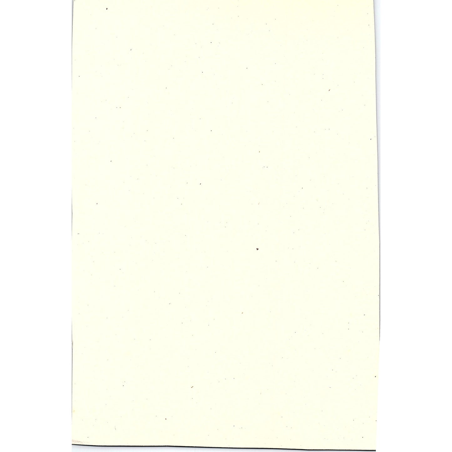 The Windmill at Wijk bij Duurstede Jacob Van Ruisdael Art Print 7x11 V6