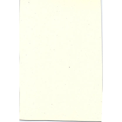 The Windmill at Wijk bij Duurstede Jacob Van Ruisdael Art Print 7x11 V6