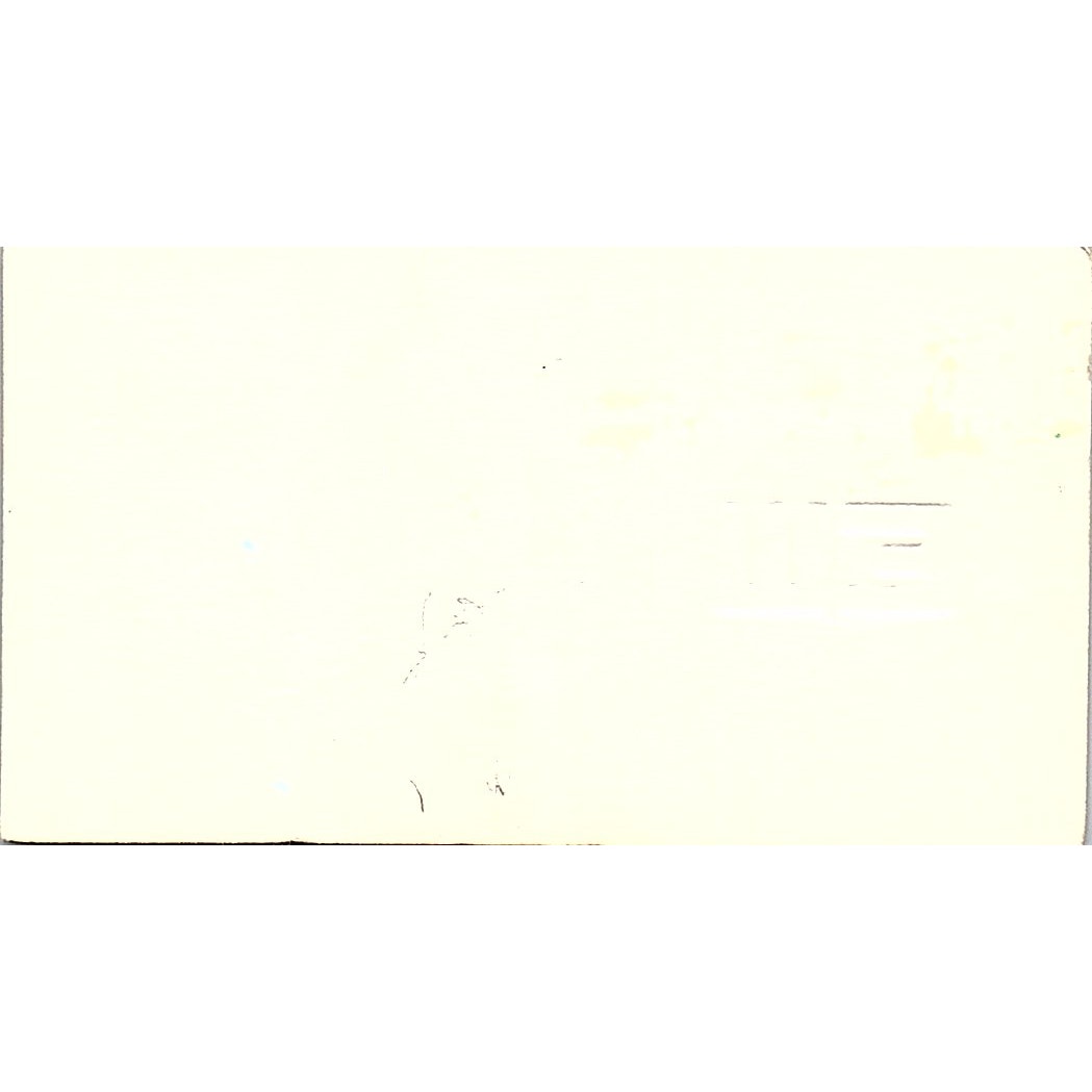 Christine A Smith CPA E&W Ernst & Whitney Houston Houston Business Card SD9-B1