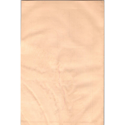 1881 Original Map of Palestine in the Time of Christ Engraving AJ6-2