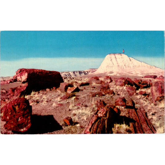 Petrified Logs, Petrified Forest National Monument Arizona Vintage Postcard PE4