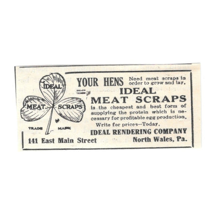 Ideal Rendering Company Meat Scraps for Chickens North Wales PA 1924 Ad AG3-S5
