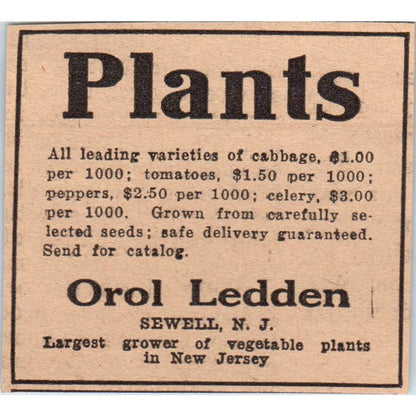 Orol Ledden Plants Sewell New Jersey 1922 Magazine Ad AF2-S8