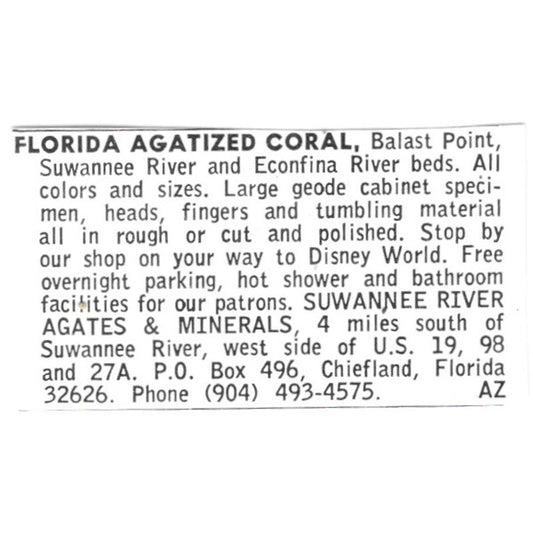 Suwannee River Agates & Minerals Agatized Coral Chiefland FL 1972 Ad AF8-S11
