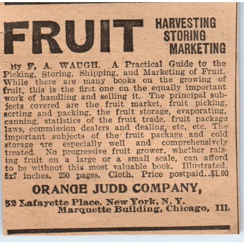 Fruit Business F.A. Waugh Orange Judd Company 1905 Magazine Ad AF1-NH3