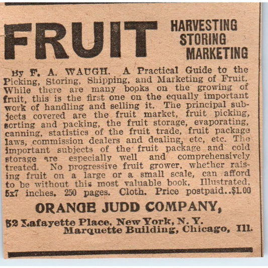 Fruit Business F.A. Waugh Orange Judd Company 1905 Magazine Ad AF1-NH3