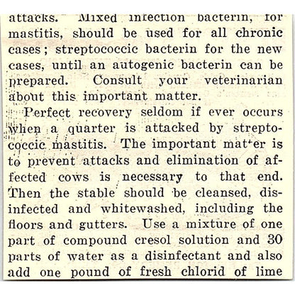 The Newton Remedy Co Horse Care Toledo Ohio 1924 Ad AG3-S18