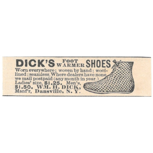 Wm. H. Dick's Foot Warmer Shoes Dansville NY 1892 Magazine Ad AB6-S3