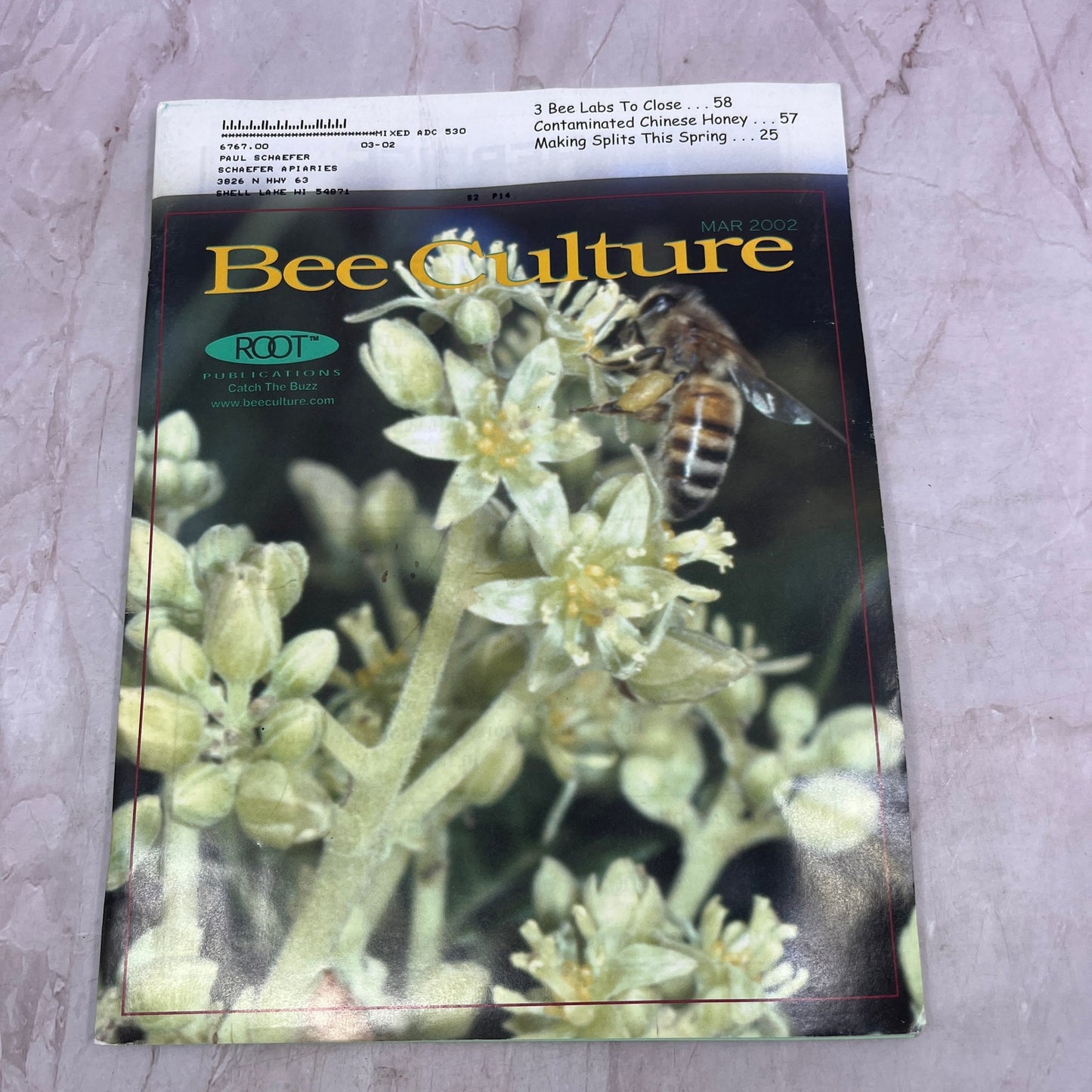2002 Mar - Bee Culture Magazine - Bees Beekeeping Honey M32
