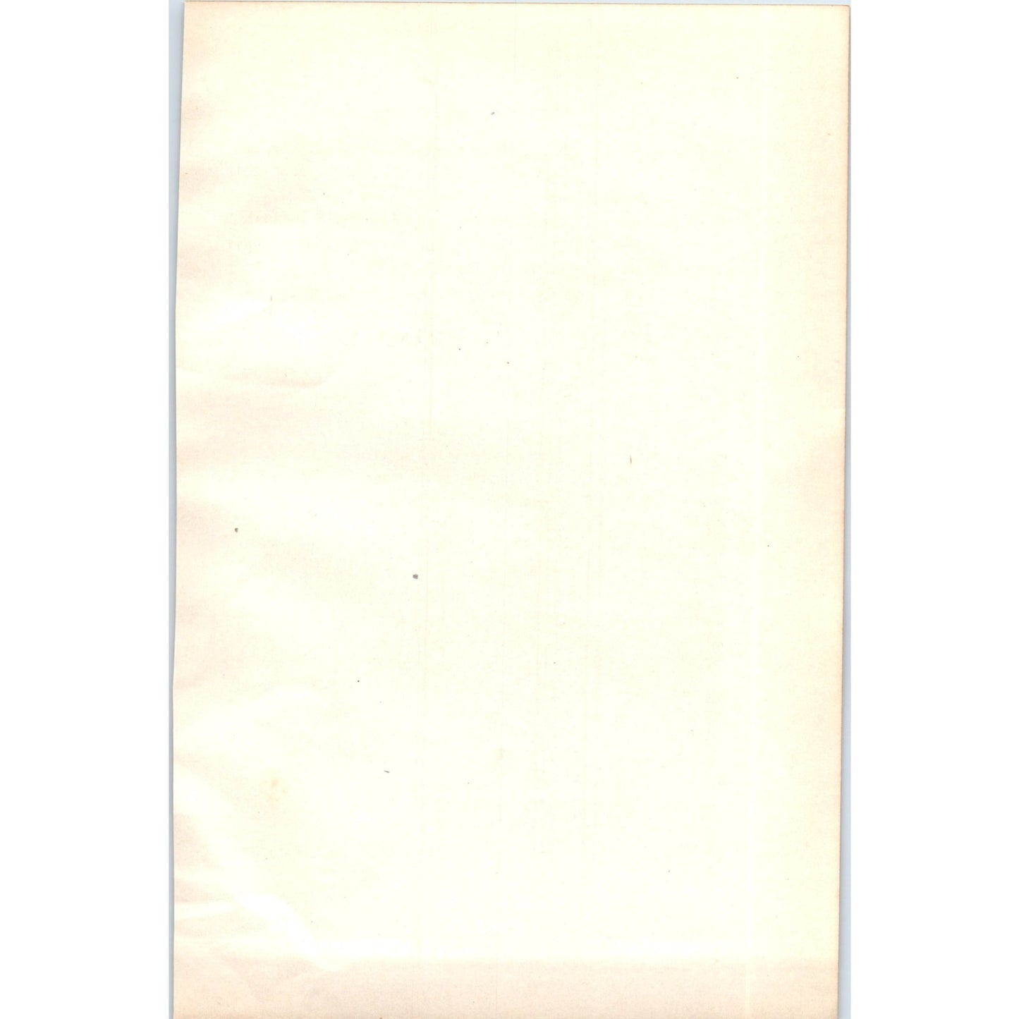 Long-Tailed Tit Bird 1903 Original Color Engraving Plate Print AD8-B2