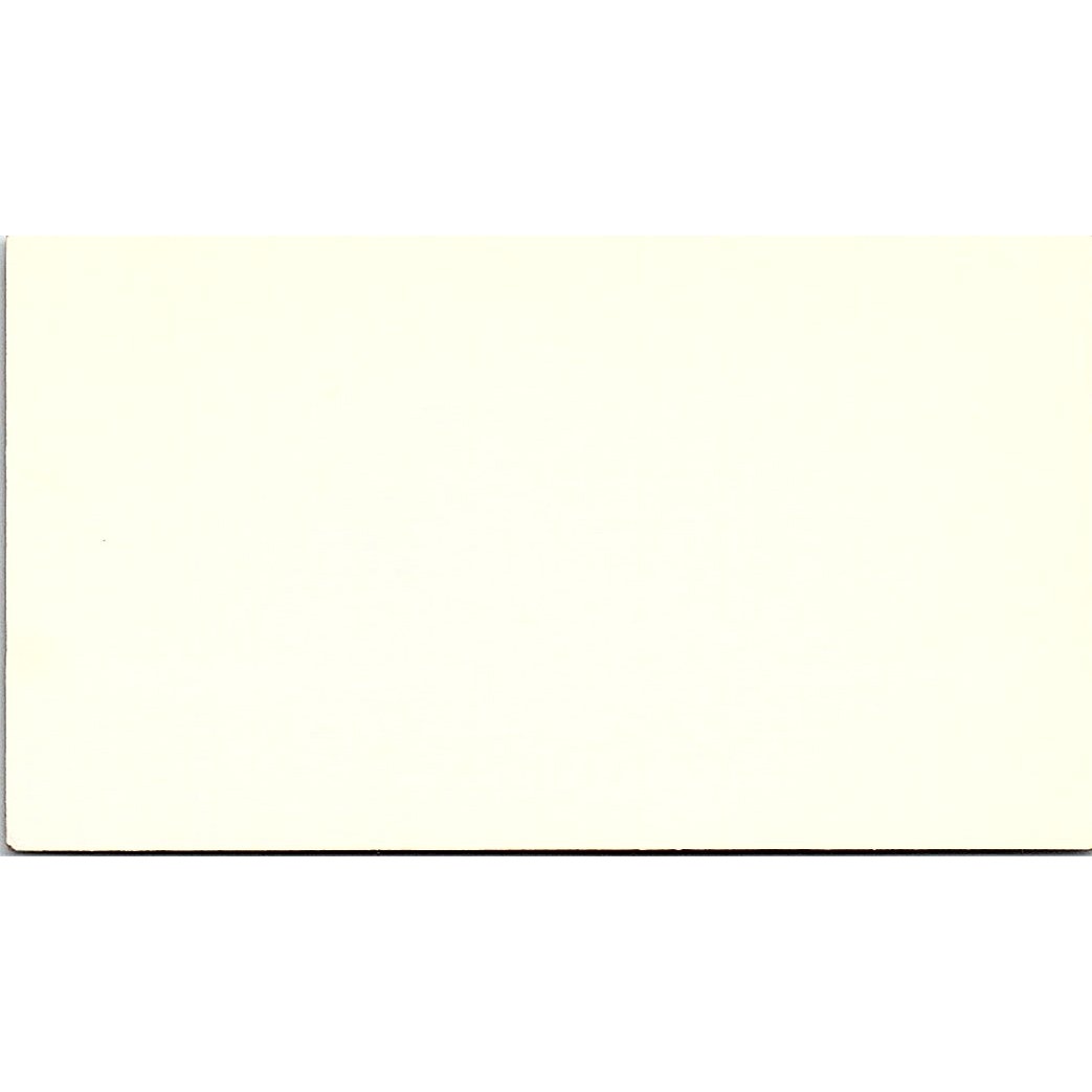 Los Tres Amigos Mexican Restaurant 818 Federal Rd Houston Business Card SD9-B6