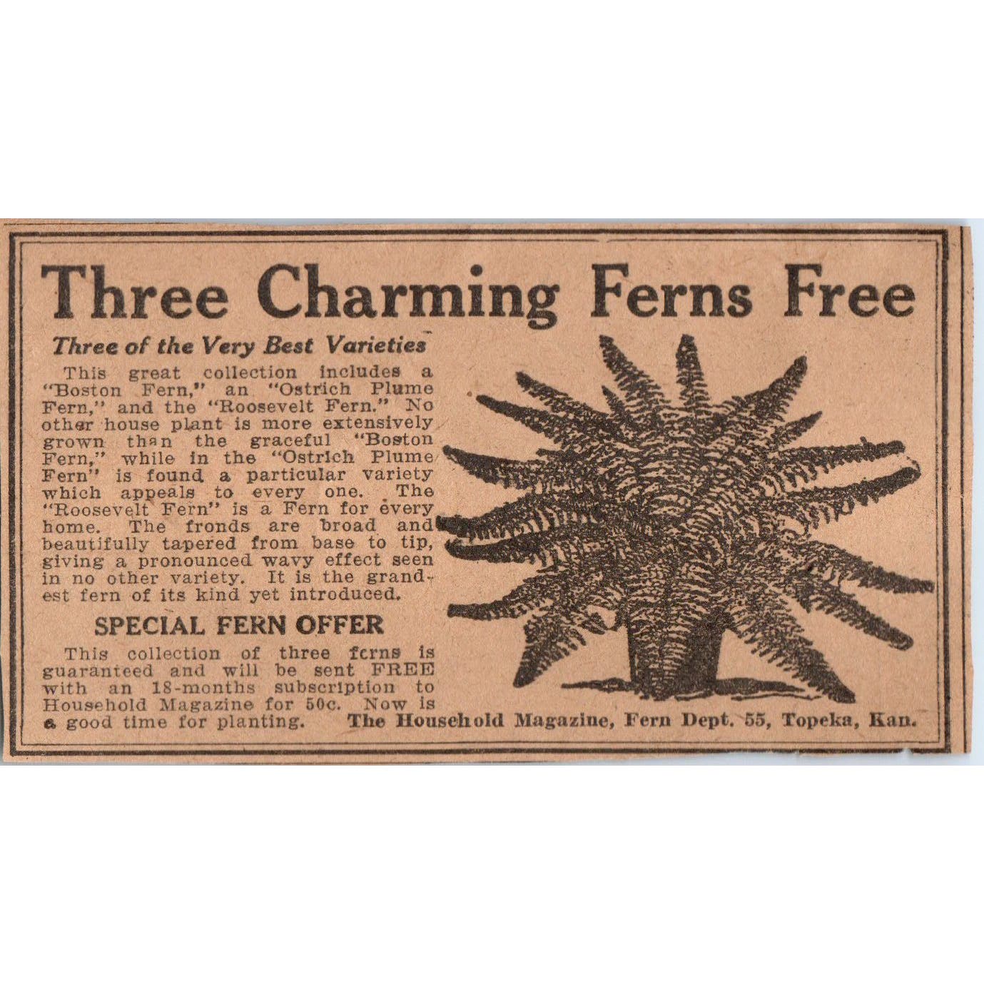 Household Magazine Free Fern Plant Offer 1923 Magazine Ad Clip AE1-5