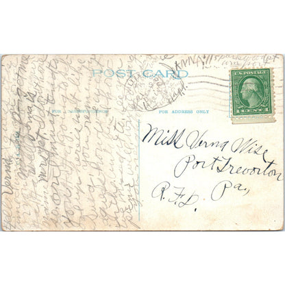 Bird's-Eye View Business Section Williamsport PA Vintage Postcard PD8