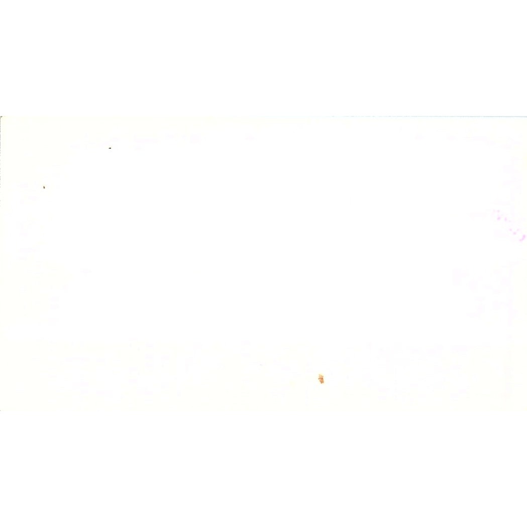 Sylvia Downes Etc Flowers Gifts Rawlins WY Vintage Business Card SC9-B11