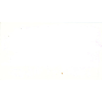 Sylvia Downes Etc Flowers Gifts Rawlins WY Vintage Business Card SC9-B11