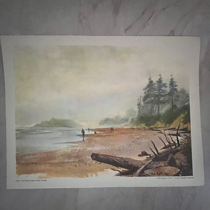 Fog on the Beach Puget Sound Islands Phil Austin Lithograph 13x17" Art Print FL1