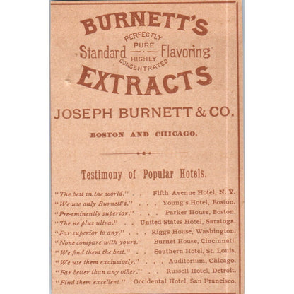 Burnett's Extracts Joseph Burnett & Co Boston Chicago c1890 Victorian Ad AE8-CH6