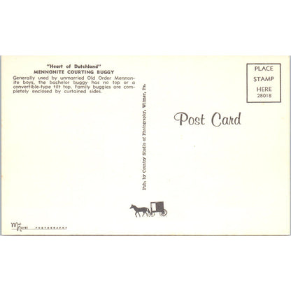 Dutchland Mennonite Courting Buggy Pennsylvania Dutch Country Postcard PD8