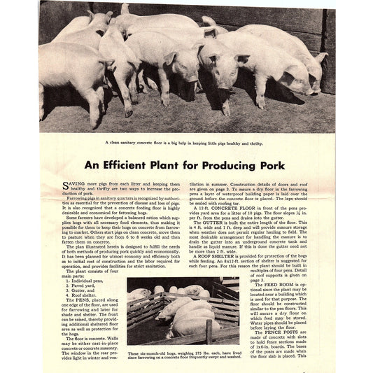 An Efficient Plant for Producing Pork 1940s Leaflet Portland Cement Assoc AG5-1