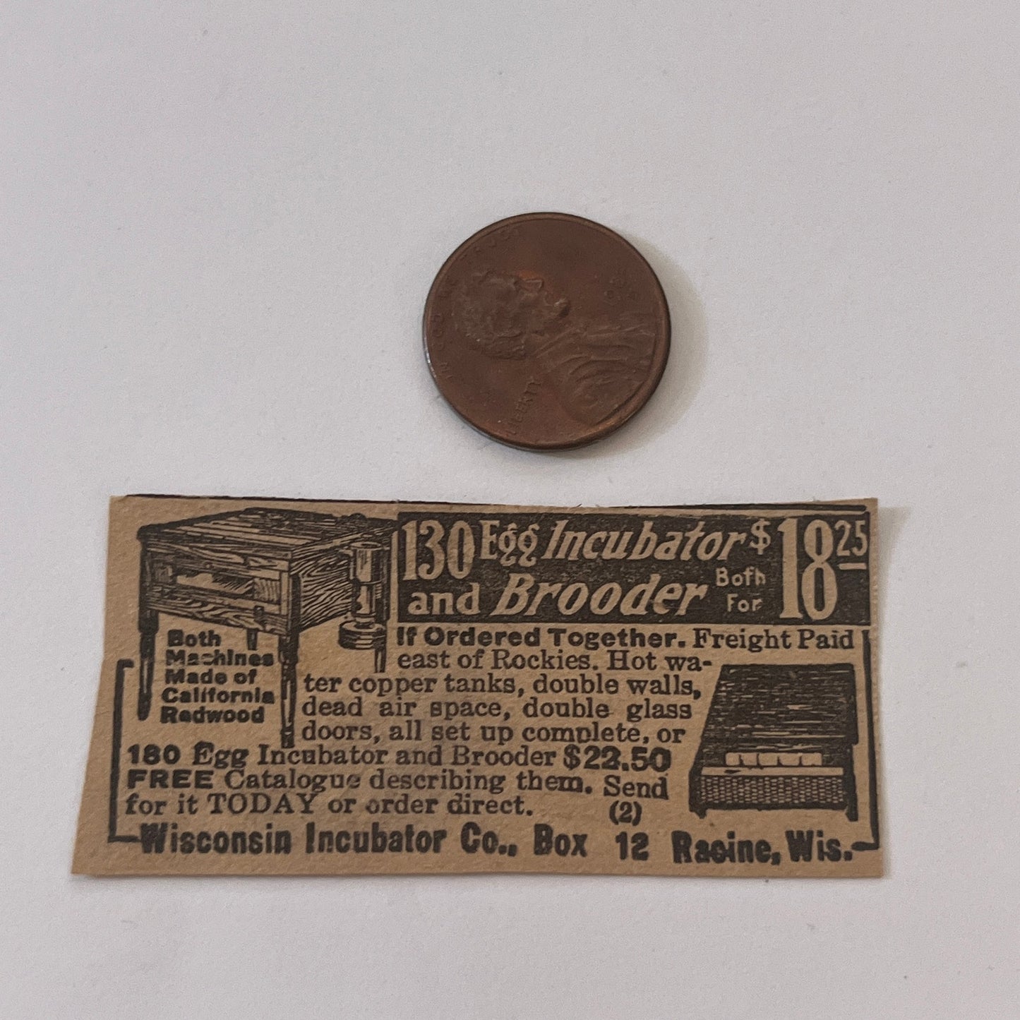 Wisconsin Incubator Co. Egg Incubator Racine WI 1931 Newspaper Ad SAG4-S13