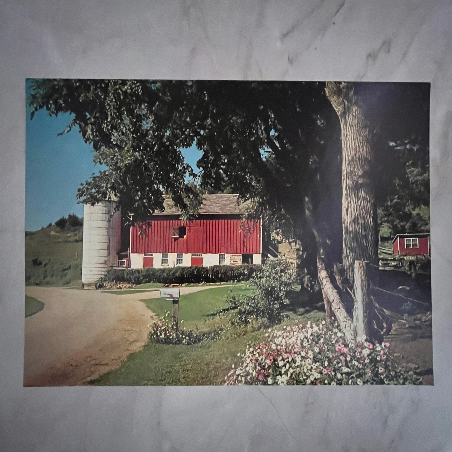 New England Red Barn At Springtime 12x16" Art Print FL1