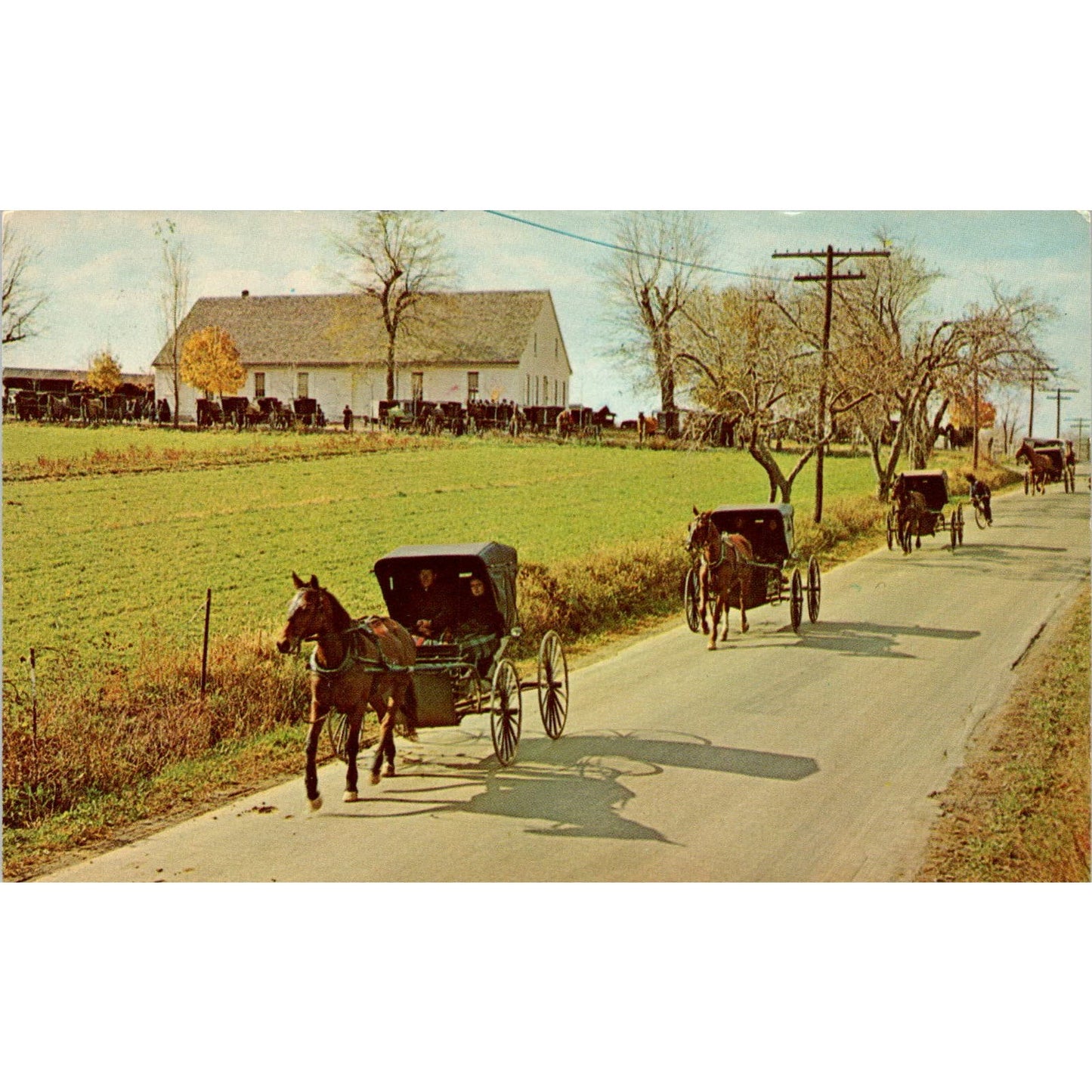 Mennonite Carriages at Church Pennsylvania Dutch Country Vintage Postcard PD4