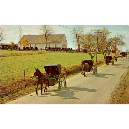 Mennonite Carriages at Church Pennsylvania Dutch Country Vintage Postcard PD4