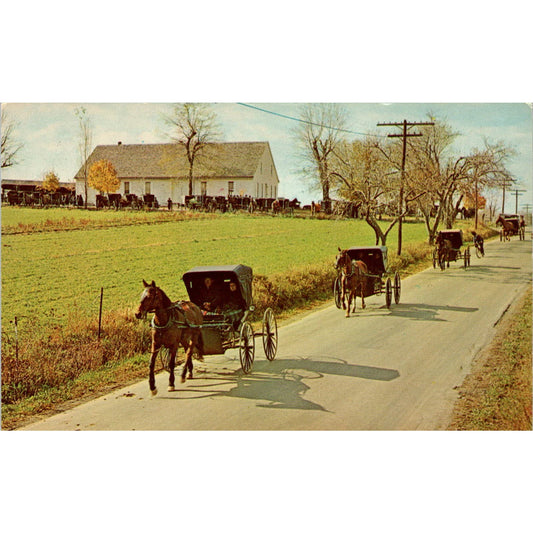 Mennonite Carriages at Church Pennsylvania Dutch Country Vintage Postcard PD4