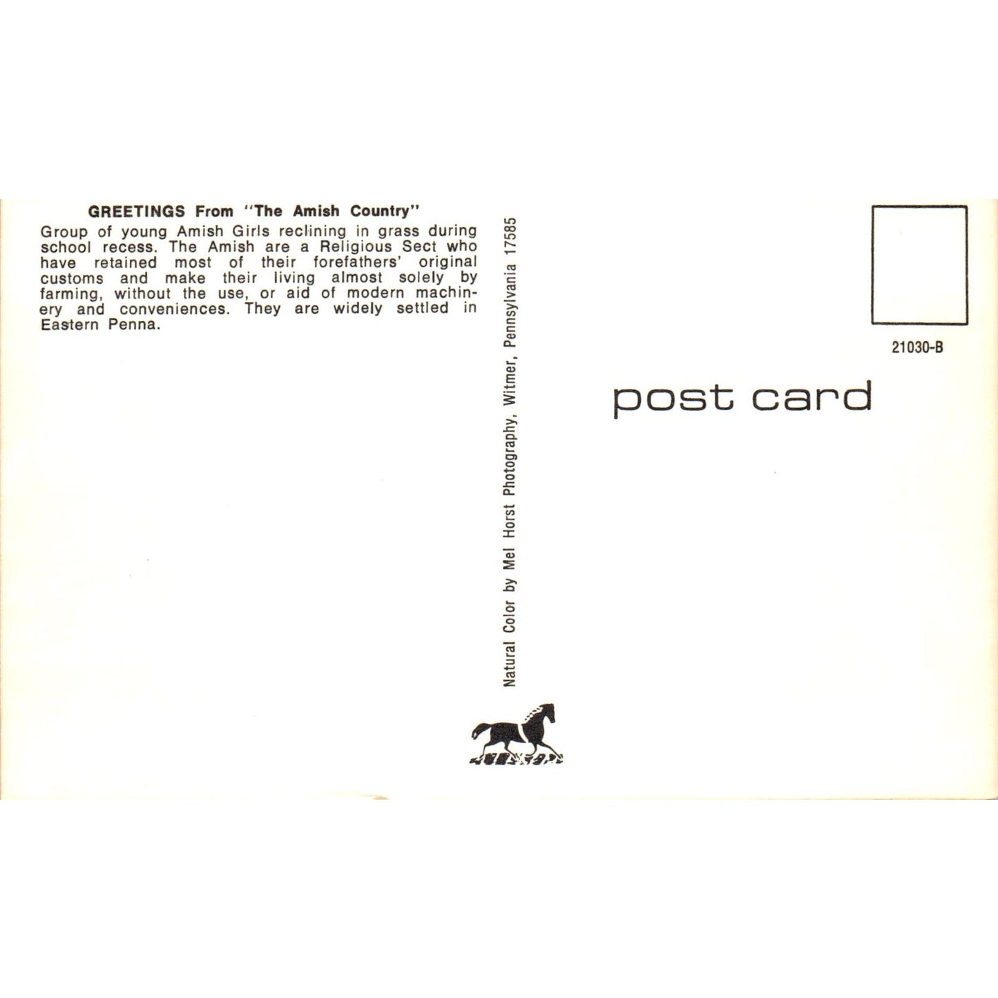 Amish Girls at School Recess Pennsylvania Dutch Country Postcard PD7