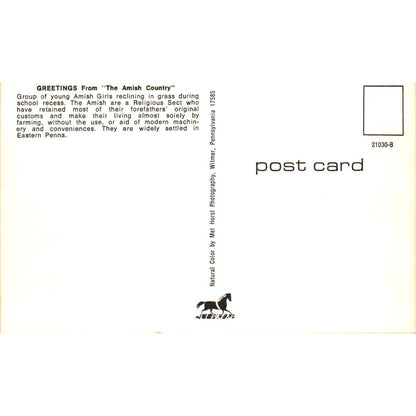 Amish Girls at School Recess Pennsylvania Dutch Country Postcard PD7