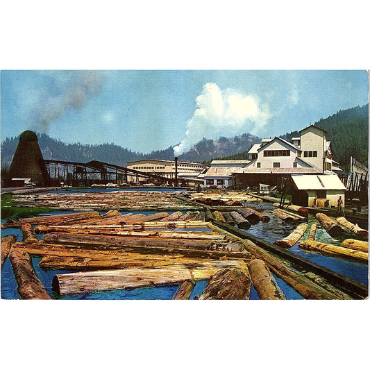 Lumber Mill Redwood Empire CA Natural Color by Mike Roberts Vintage Postcard PE1