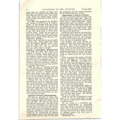 Commercial Honey Production J.E. Crane Beekeeping 1926 Article AG3-9