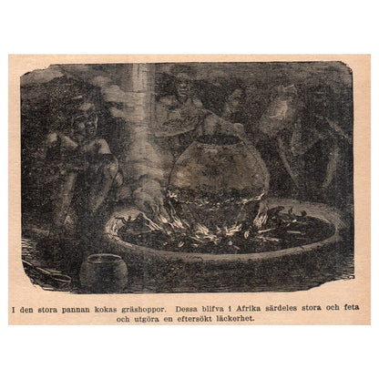 African Natives Boiling Grasshoppers 1909 Swedish Engraving Print AF5-14