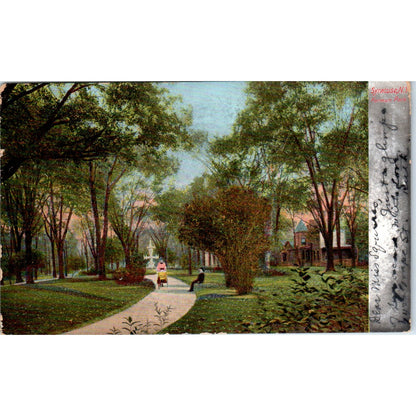 1905 Syracuse NY Forman Park View Antique Postcard PC7
