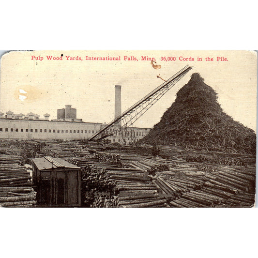 Pulp Wood Yards International Falls Minnesota Vintage Postcard PD10