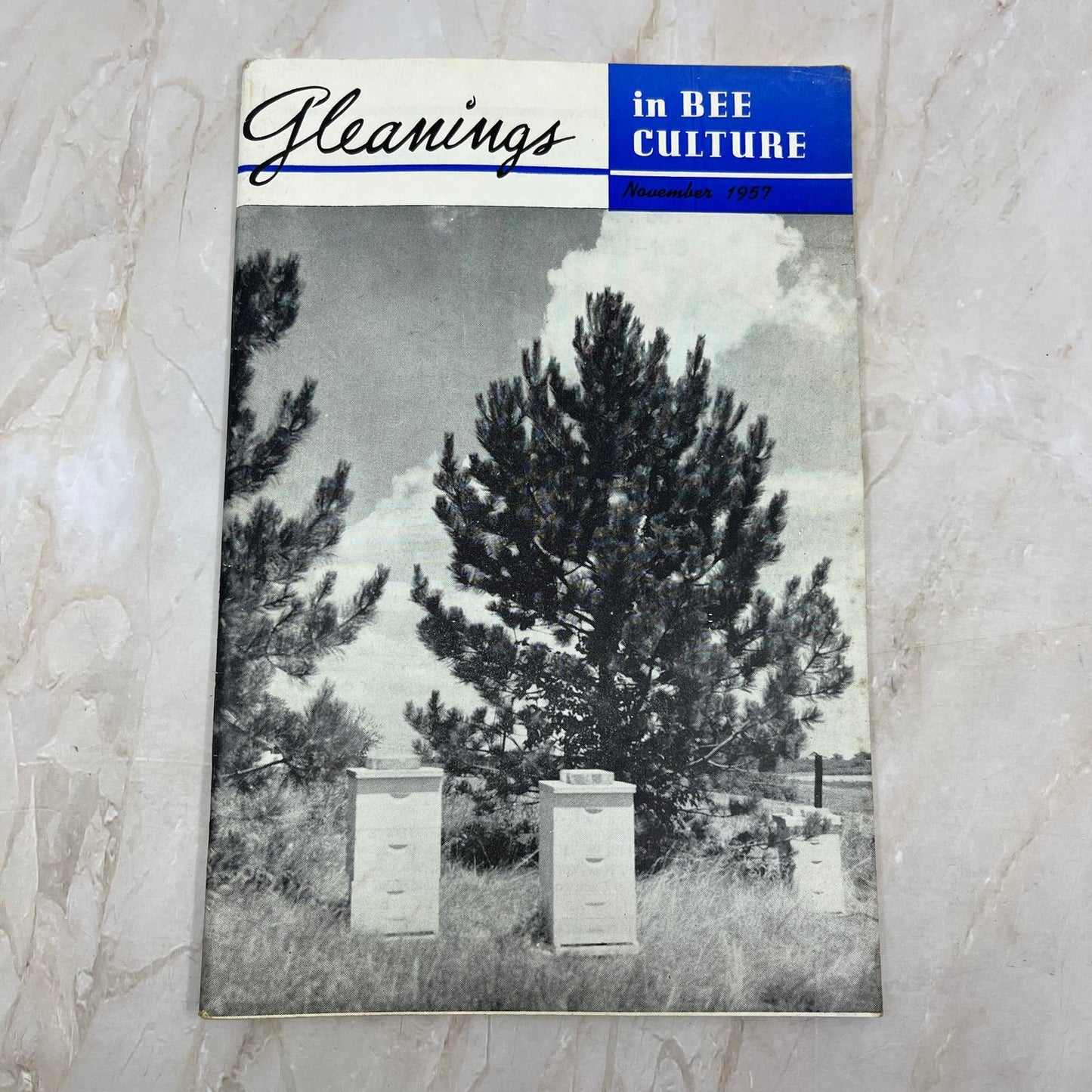 1957 Nov Gleanings in Bee Culture Beekeeping Magazine A.I. Root Co Medina OH TD5