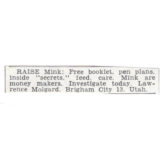 Raise Mink - Lawrence Molgard - Brigham City Utah 1955 Ad AG1-S3