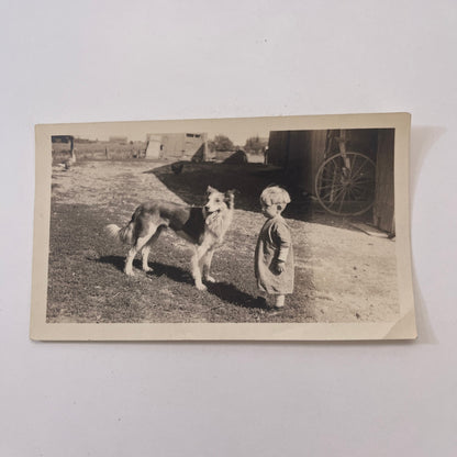 1922 Little Boy With Collie Dog Photograph Fremont OH L2-1