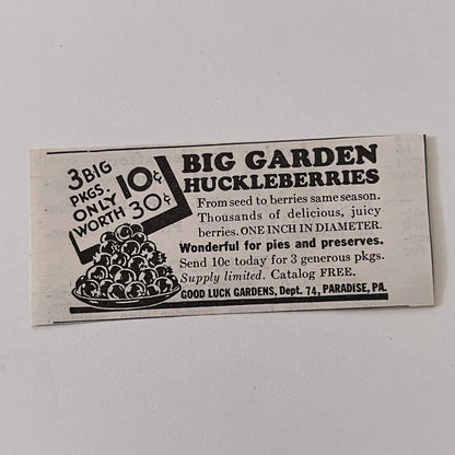 Good Luck Gardens Big Garden Huckleberries Paradise PA 1936 Ad SAG4-M4