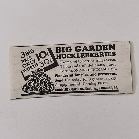 Good Luck Gardens Big Garden Huckleberries Paradise PA 1936 Ad SAG4-M4