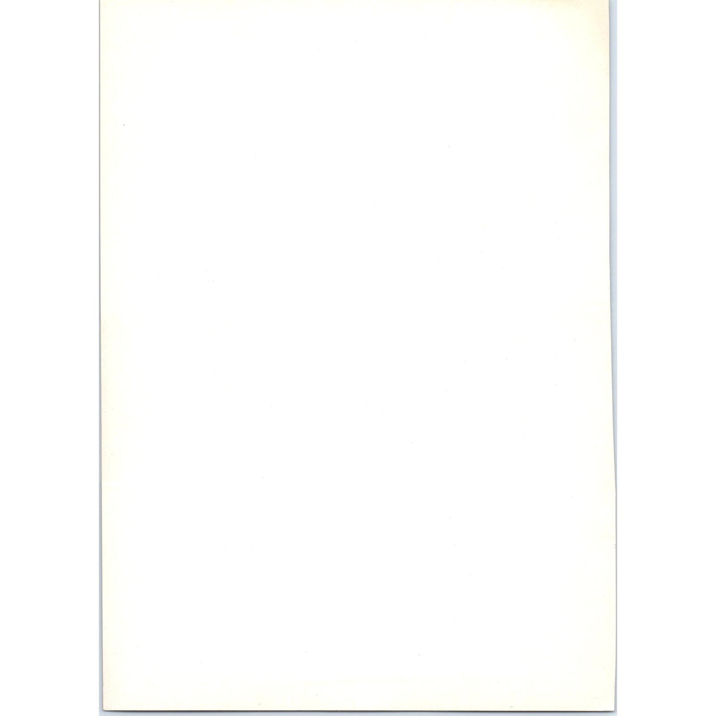 Portrait of Madame Vigée Le Brun - Vigée Le Brun c1905 Art Print D15